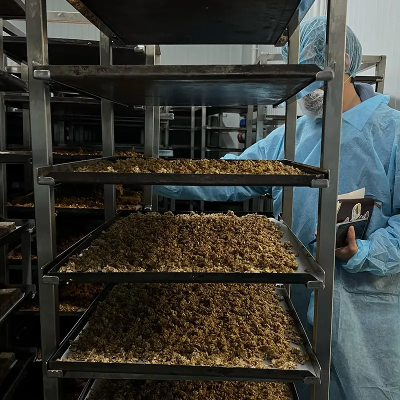 Bandejas de horno llenas de granola recién hecha.